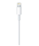 Cable Apple - Lightning a USB (1m)